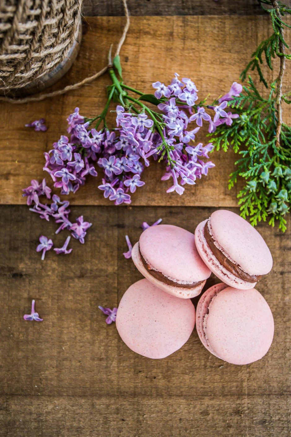 Macaron lamponi&cioccolato fondente