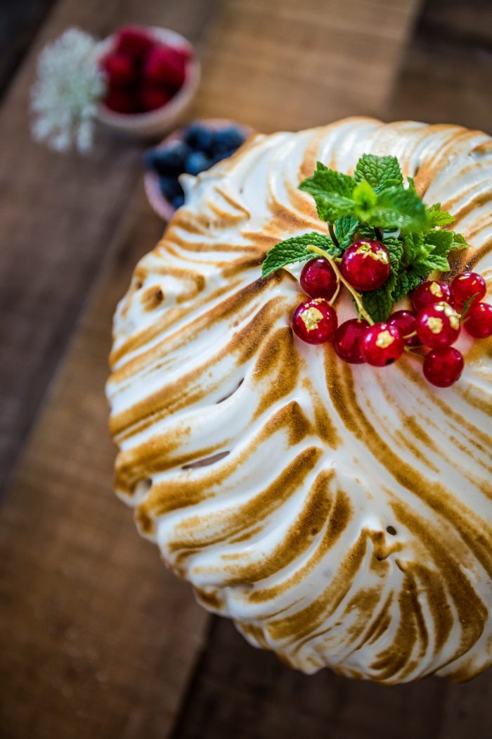 Zuccotto ai mirtilli e ganache di lamponi