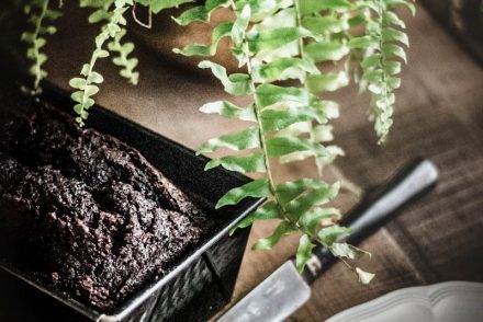 Ricetta perfetta per il Plumcake al cacao di Luigi Biasetto