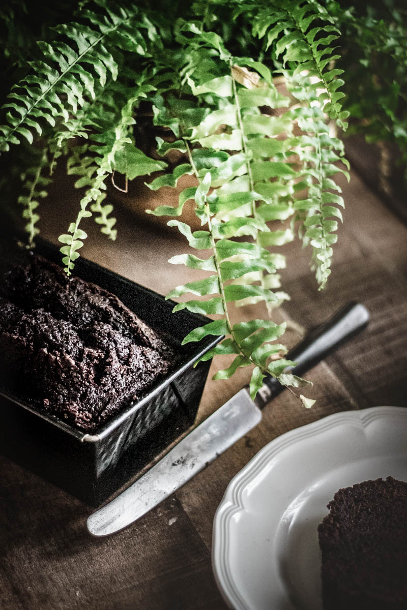 Ricetta perfetta per il Plumcake al cacao di Luigi Biasetto